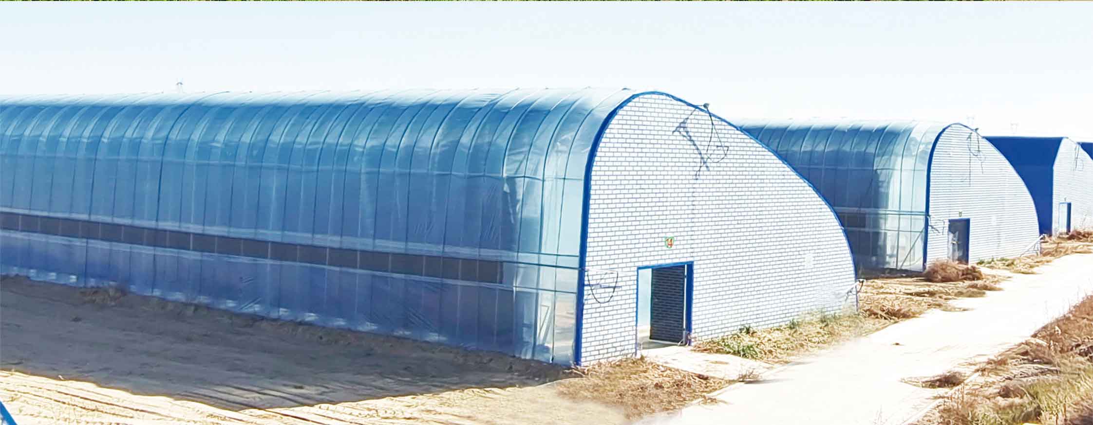 2、冬室夏棚網頁_10.jpg